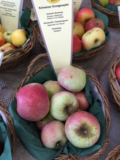 Schweizer Orangenäpfel.jpg